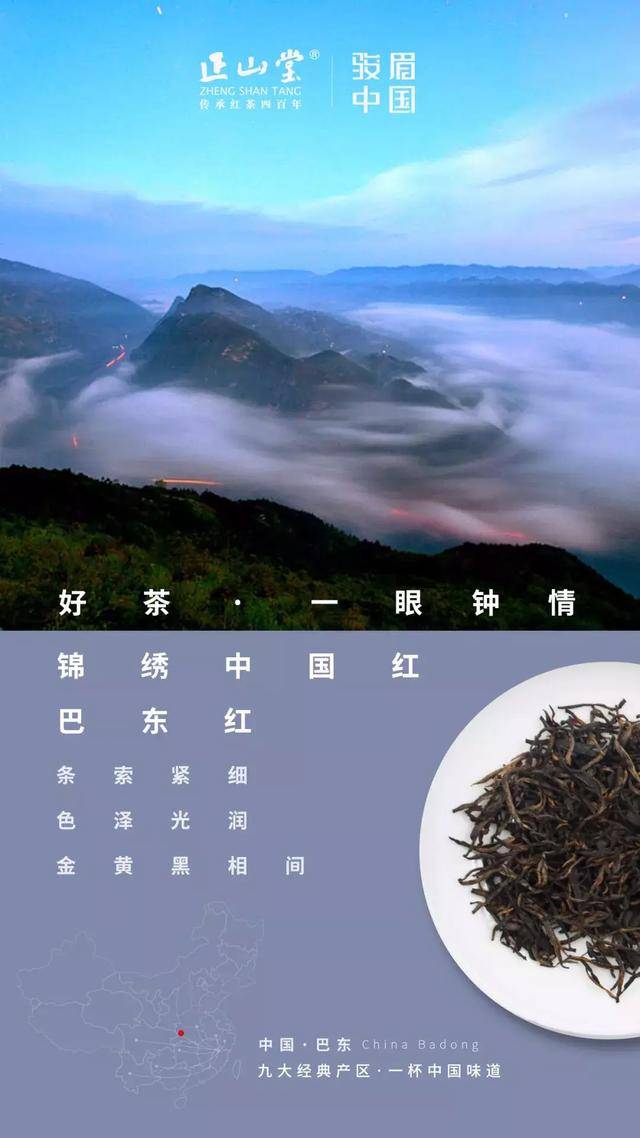 巴东神农溪富硒茶