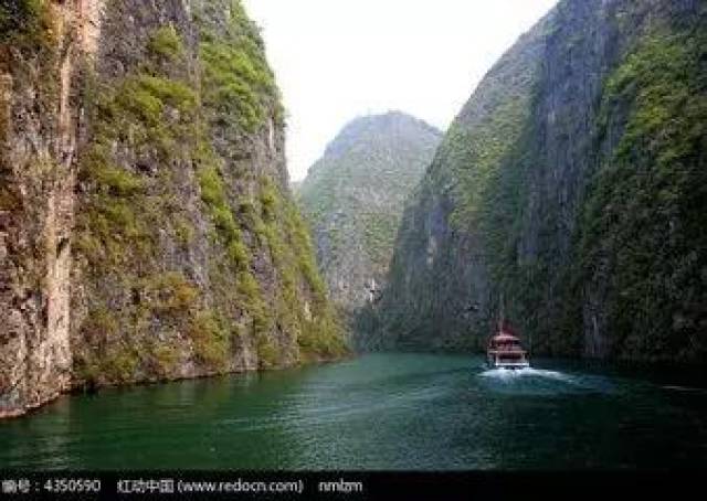 巴东神农溪富硒茶