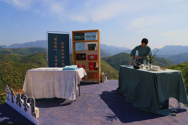 天方富硒茶代言人