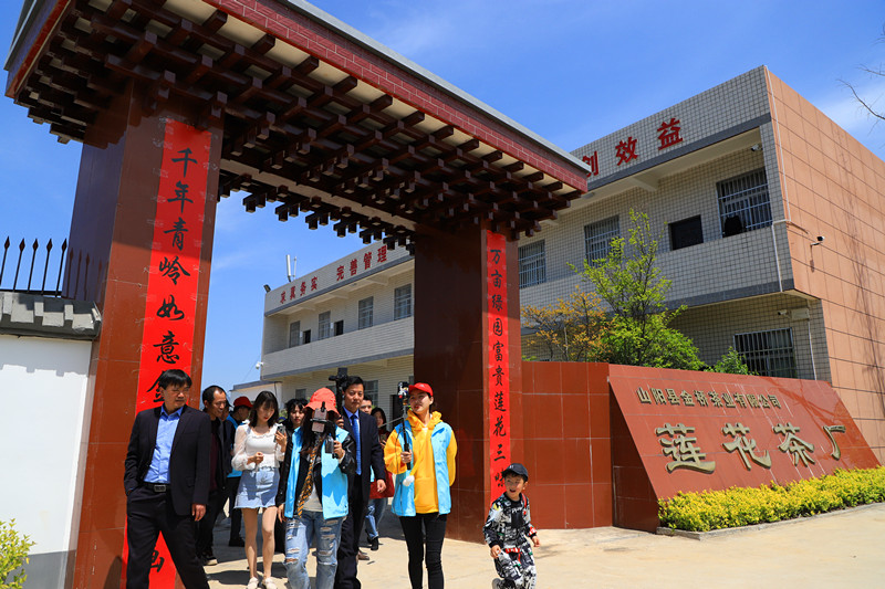 天方富硒茶代言人