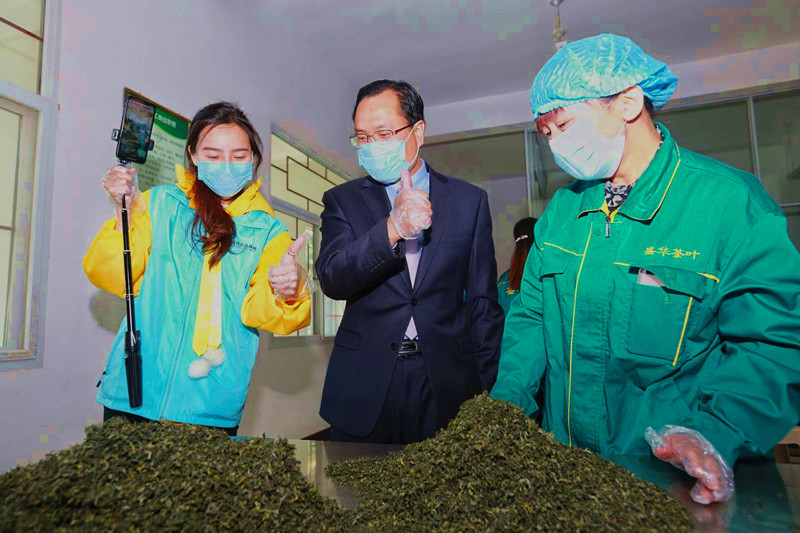 天方富硒茶代言人
