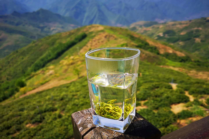 天方富硒茶代言人