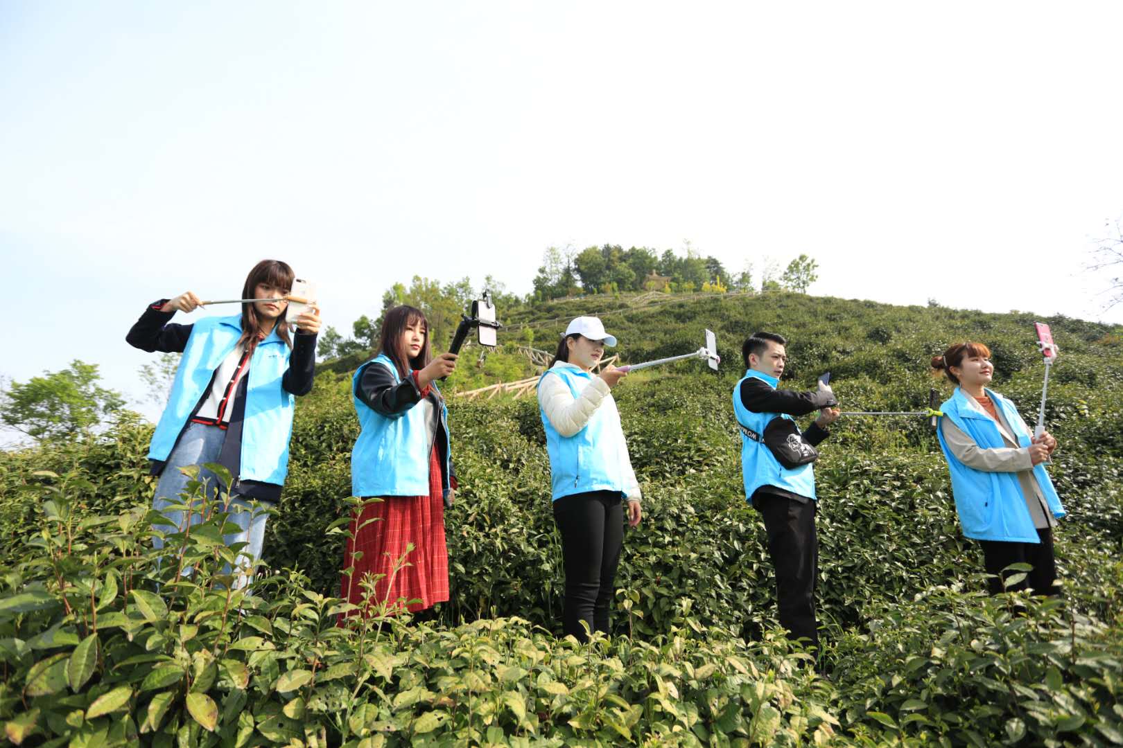 天方富硒茶代言人
