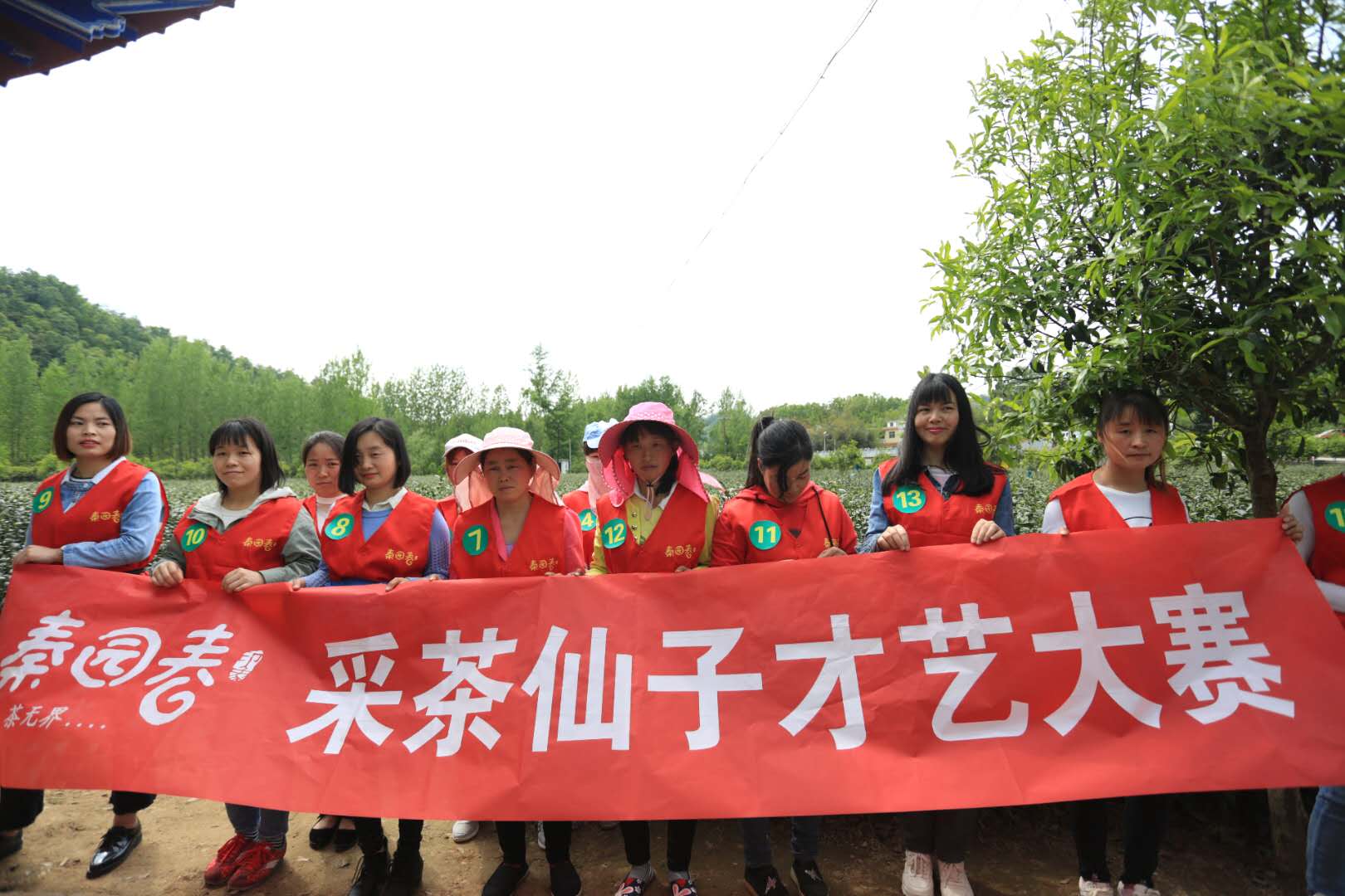 天方富硒茶代言人