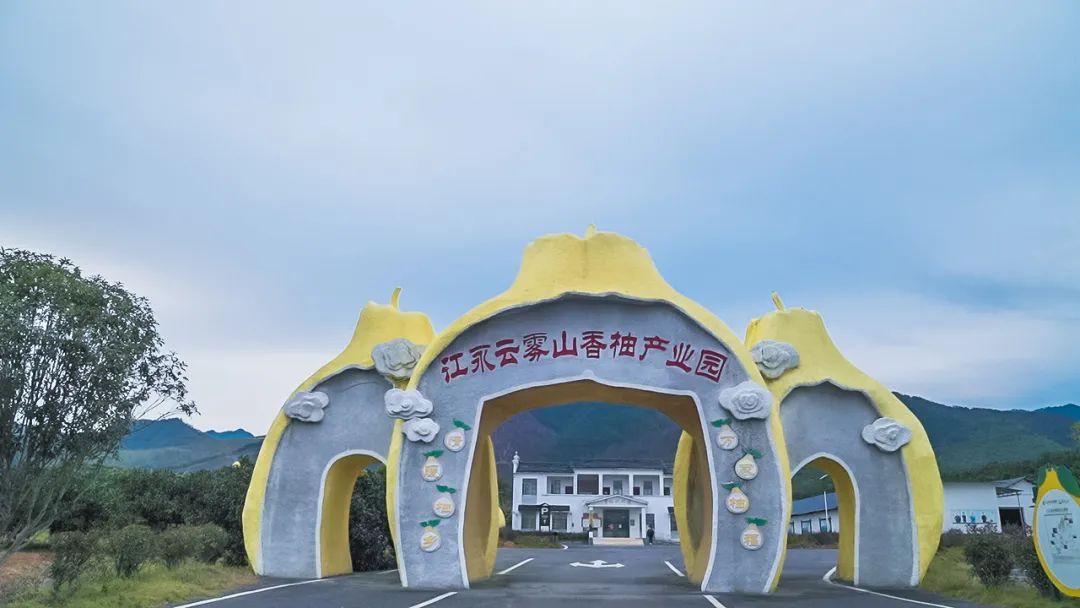 什么叫富硒柚子茶