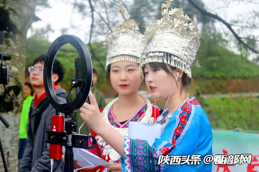 陕西富硒茶多少度