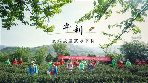 安康富硒茶特产店