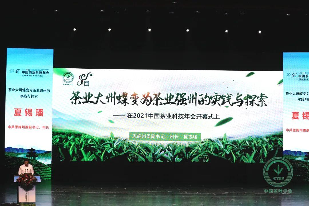 梁中树恩施富硒茶