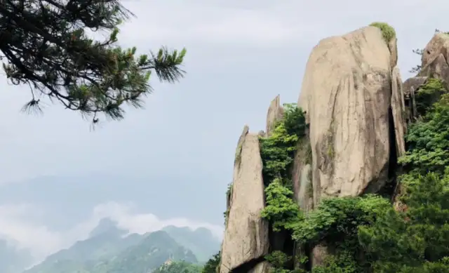 文章图片8