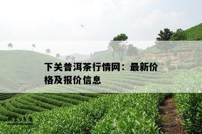 下关普洱茶行情网：最新价格及报价信息