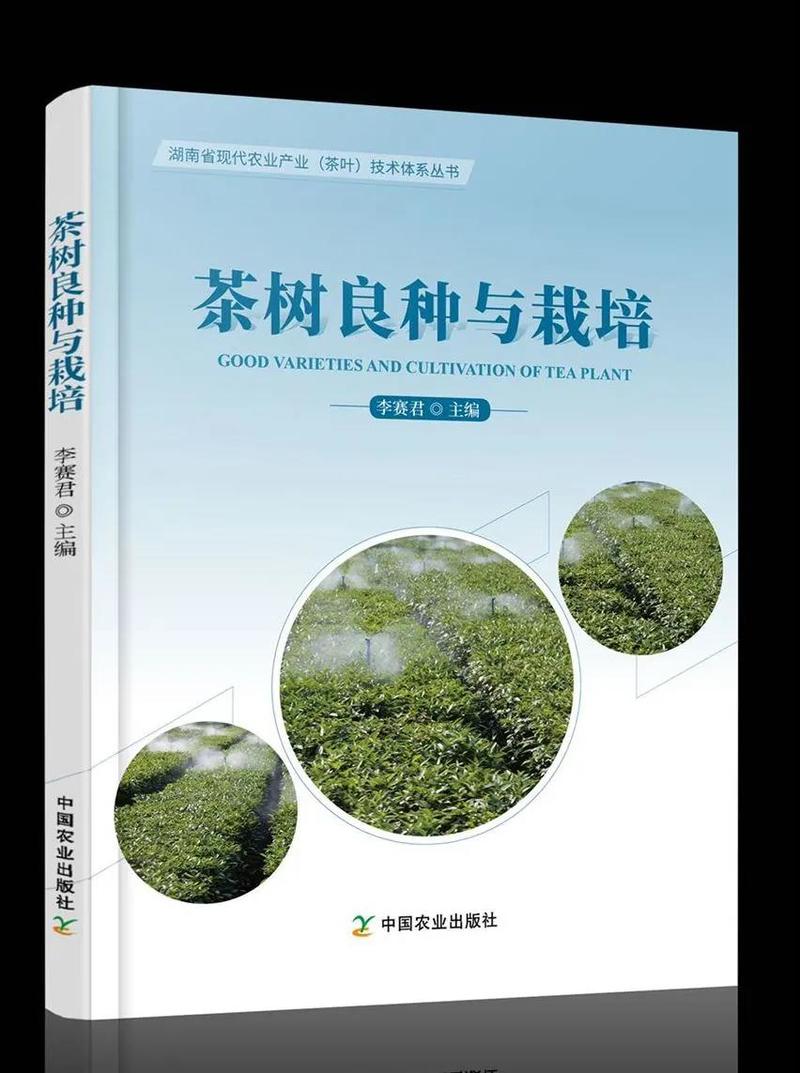 罗溪野生富硒黑茶