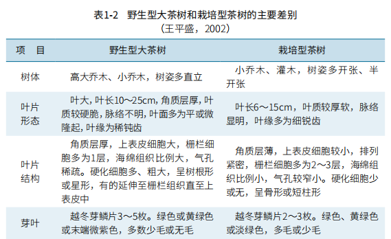 罗溪野生富硒黑茶