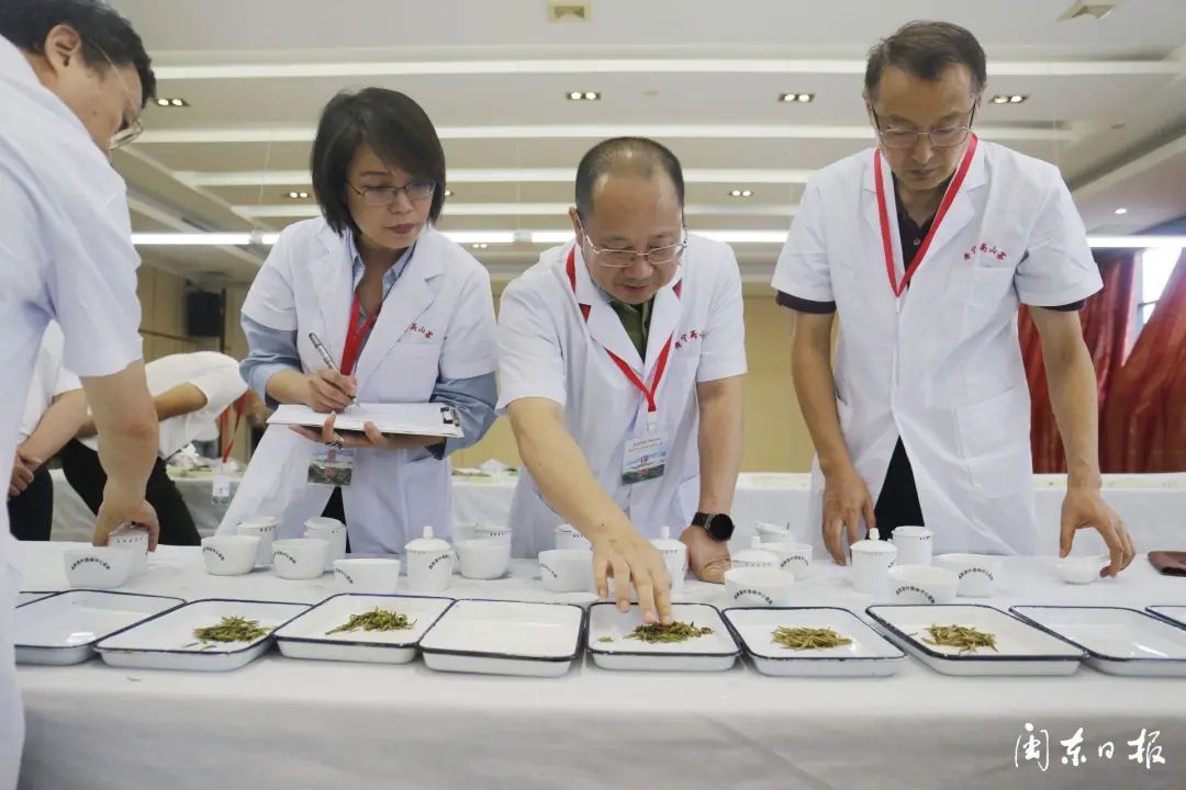 福建富硒茶多少钱