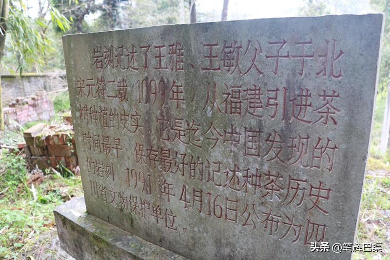 万源富硒茶哪里买