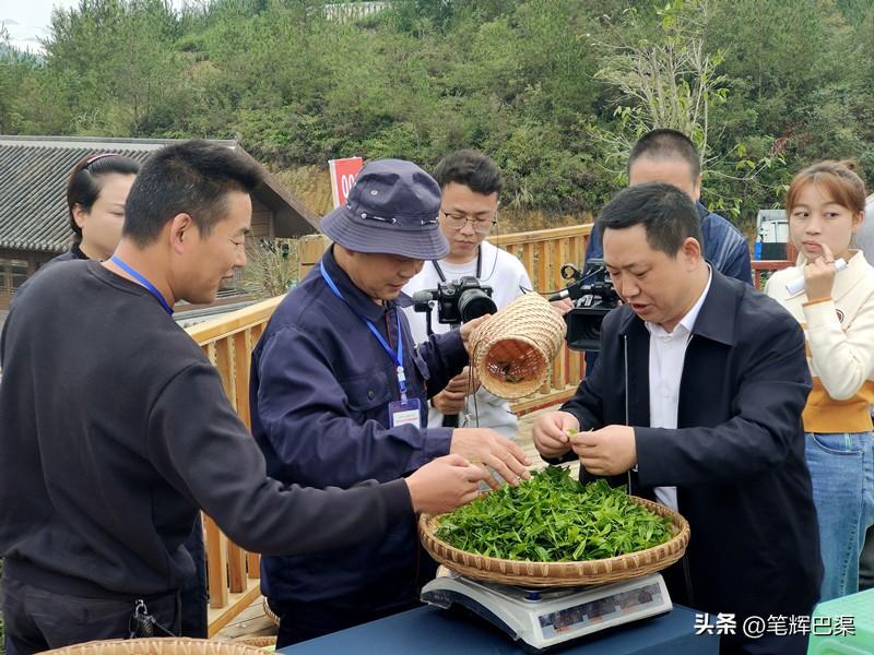 万源富硒茶哪里买
