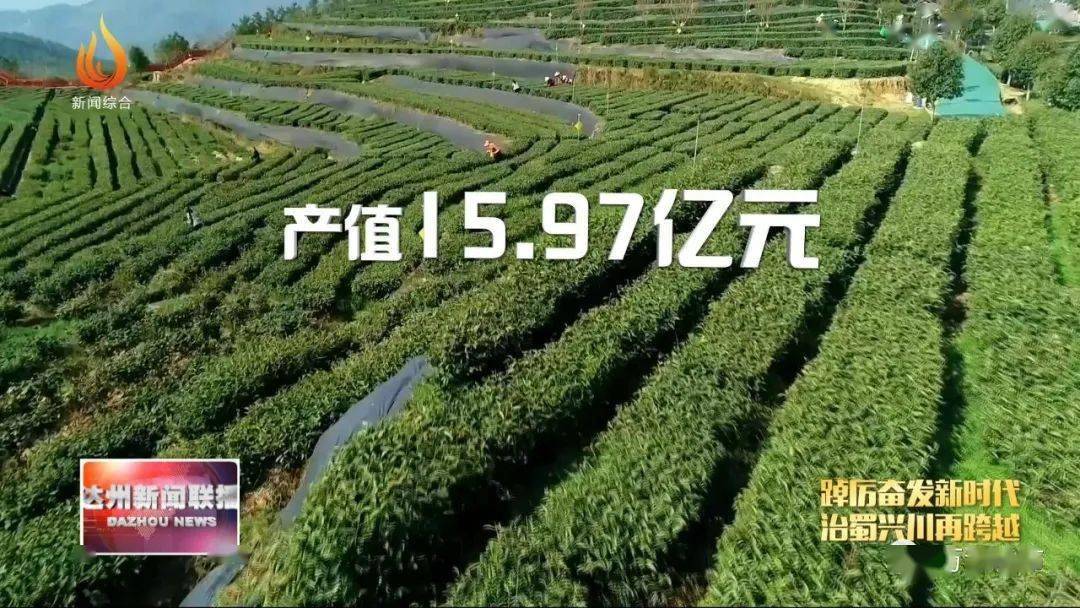 万源富硒茶的好处