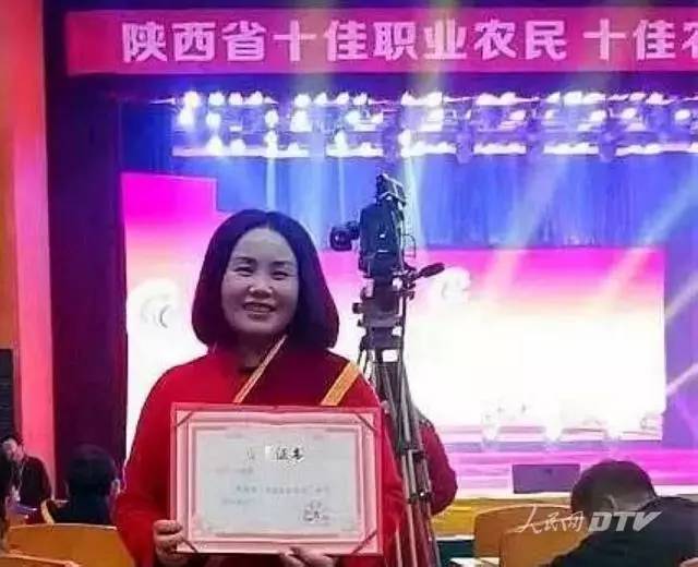 千亩富硒金茶基地