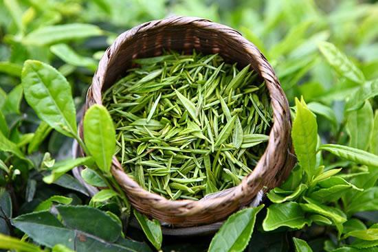 富硒茶含量前十名