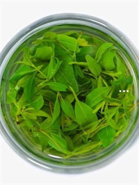 普洱茶的硒元素含量有哪些