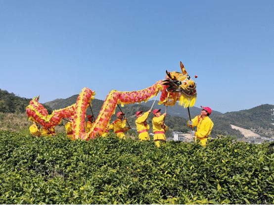 霄园春五队富硒茶