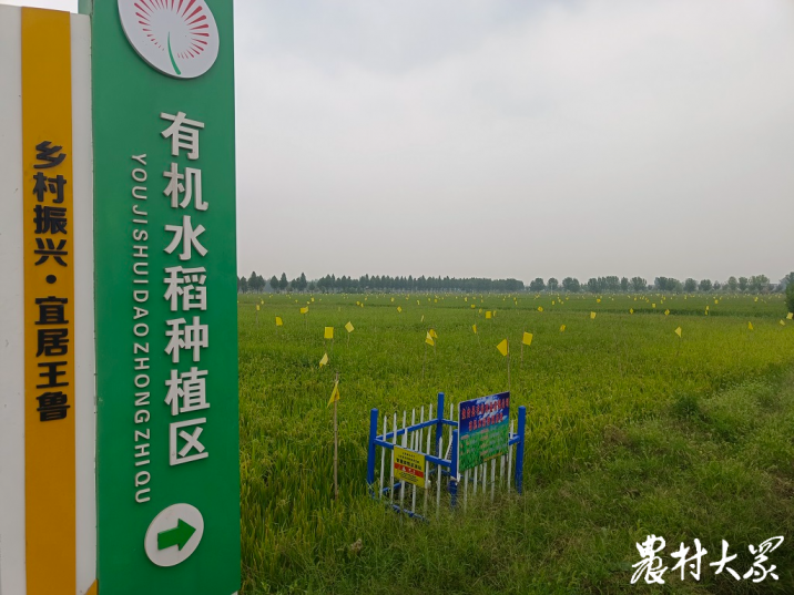 苏州大米富硒大米