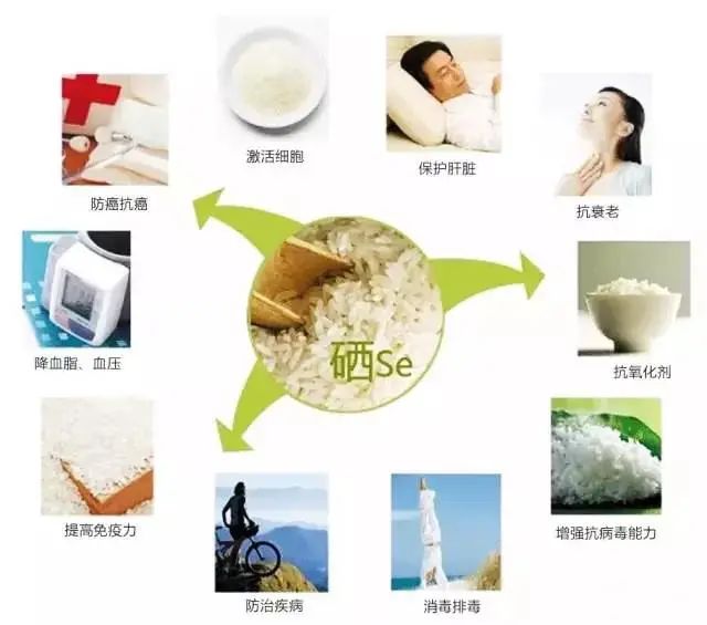 富硒大米含硒多少