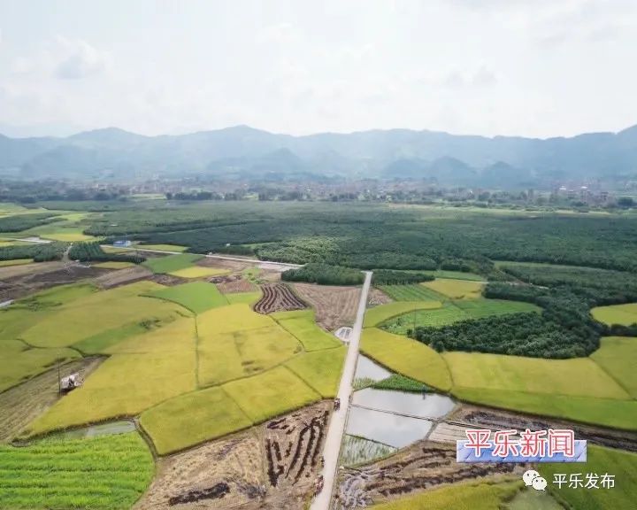 富硒大米生态健康