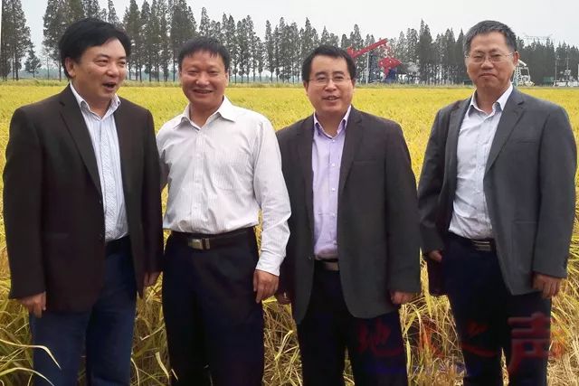 试种富硒大米视频