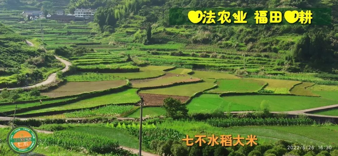 预定有礼-订购大米送生姜。2022年秋收浙江仙居新米⑤红籼米④黑米⑨勇优12粳米⑥糯米⑩香米华优18籼米 ⑾嘉丰优2号籼米