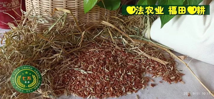 预定有礼-订购大米送生姜。2022年秋收浙江仙居新米⑤红籼米④黑米⑨勇优12粳米⑥糯米⑩香米华优18籼米 ⑾嘉丰优2号籼米