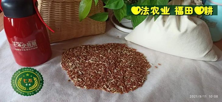 预定有礼-订购大米送生姜。2022年秋收浙江仙居新米⑤红籼米④黑米⑨勇优12粳米⑥糯米⑩香米华优18籼米 ⑾嘉丰优2号籼米