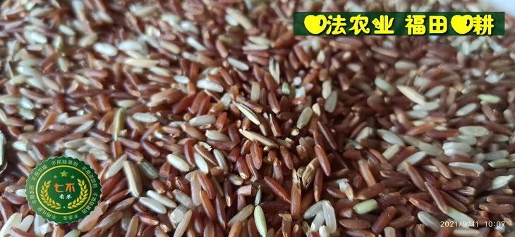 预定有礼-订购大米送生姜。2022年秋收浙江仙居新米⑤红籼米④黑米⑨勇优12粳米⑥糯米⑩香米华优18籼米 ⑾嘉丰优2号籼米
