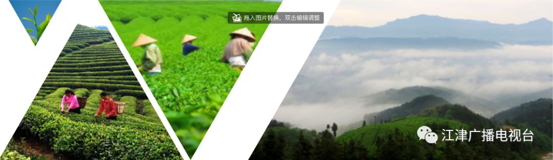 江津富硒大米基地