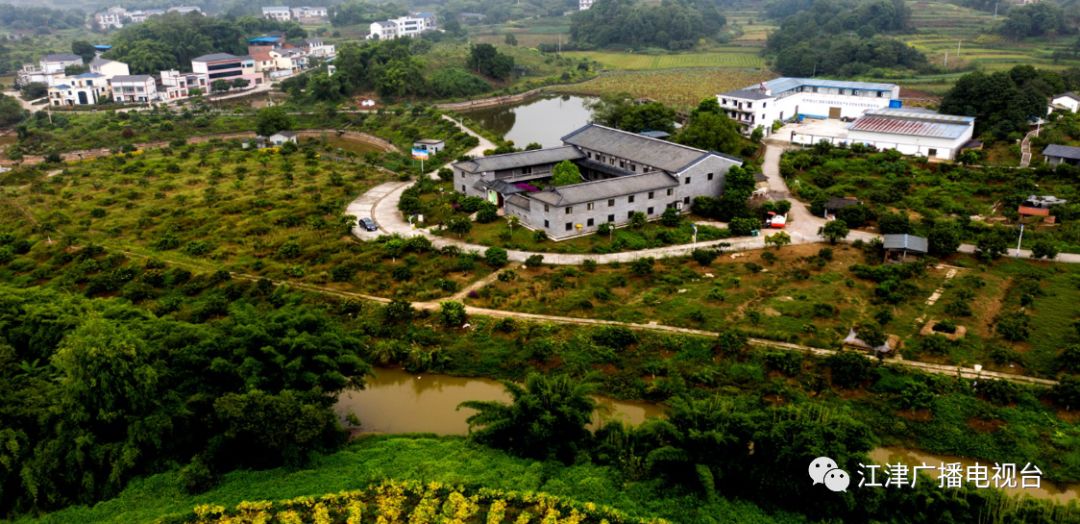 江津富硒大米基地