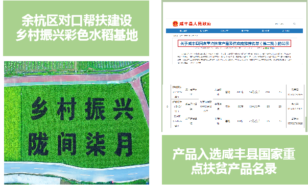 恩施富硒大米直播
