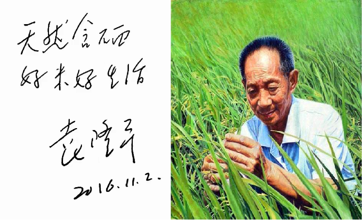 恩施富硒大米直播