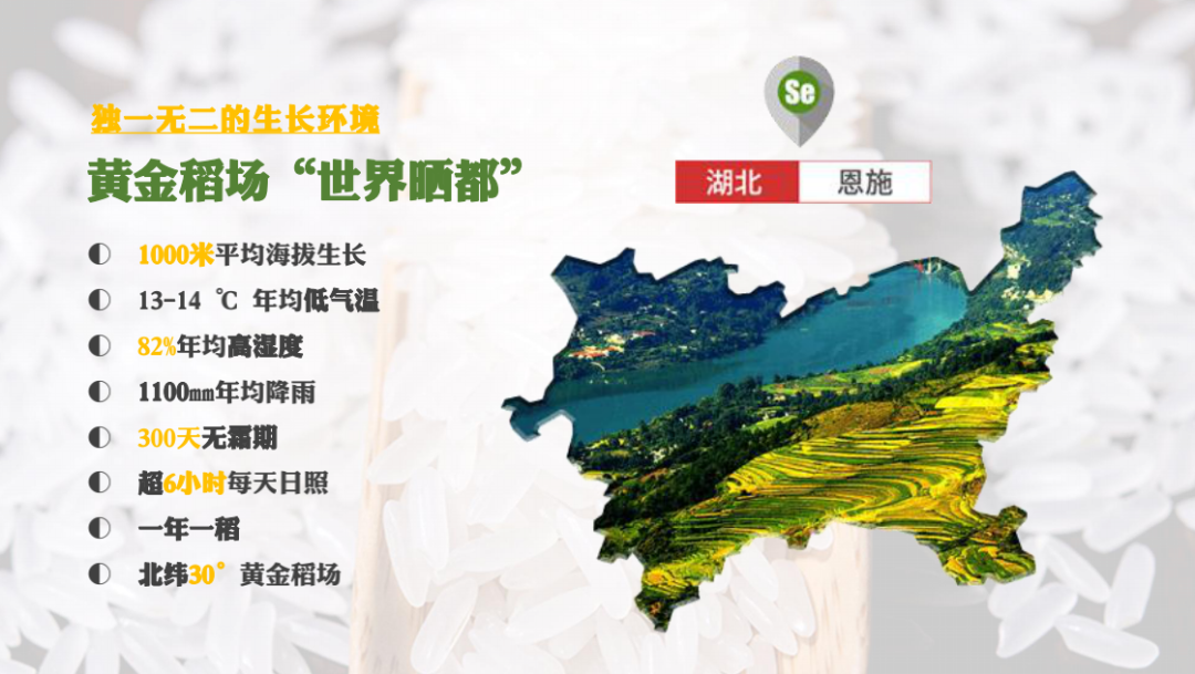 恩施富硒大米直播
