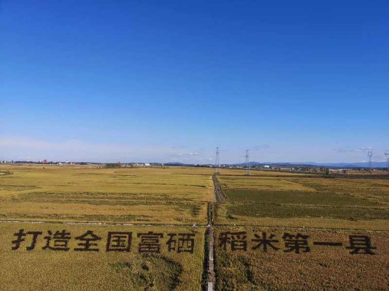 方正富硒大米文章