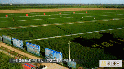 河上田舍富硒大米