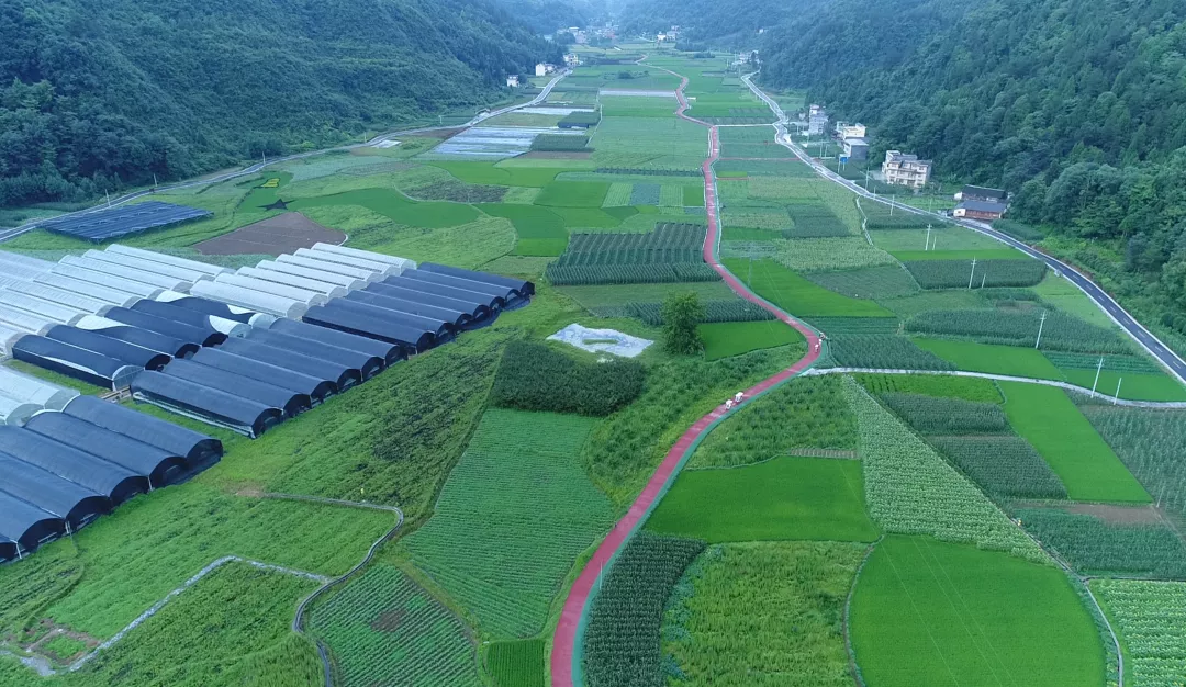 恩施富硒大米生产