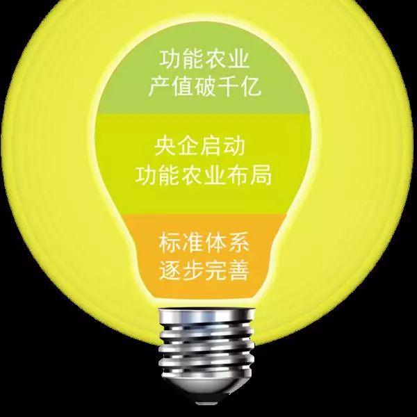 富硒大米哪里有名
