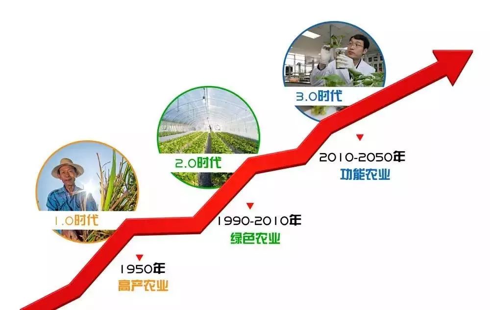 富硒大米哪里有名