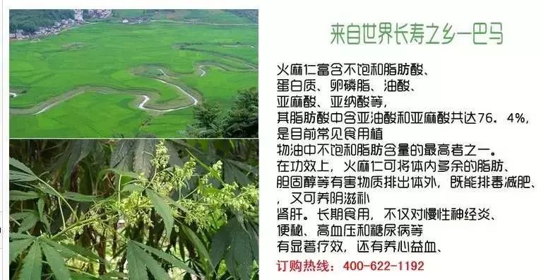 富硒大米哪里有名