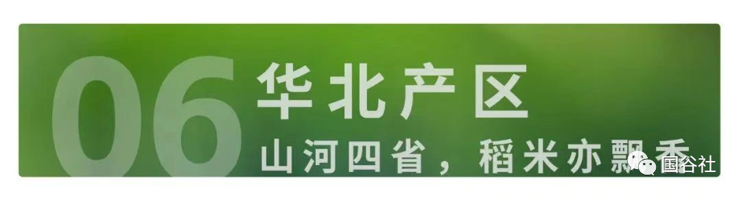 柳河富硒大米产地