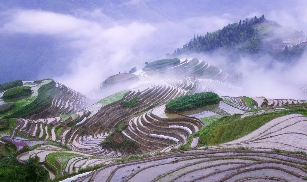 辽宁柳河富硒大米