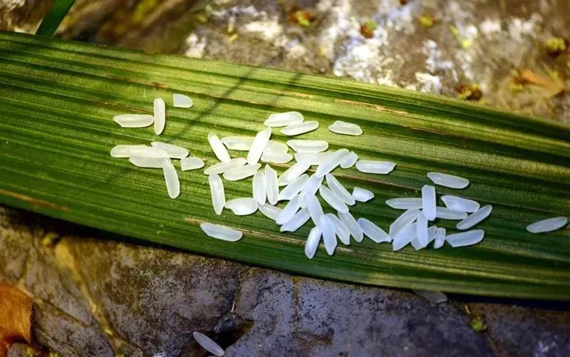 辽宁柳河富硒大米