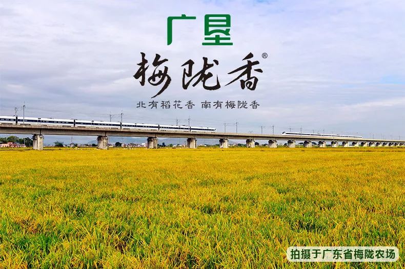 辽宁柳河富硒大米