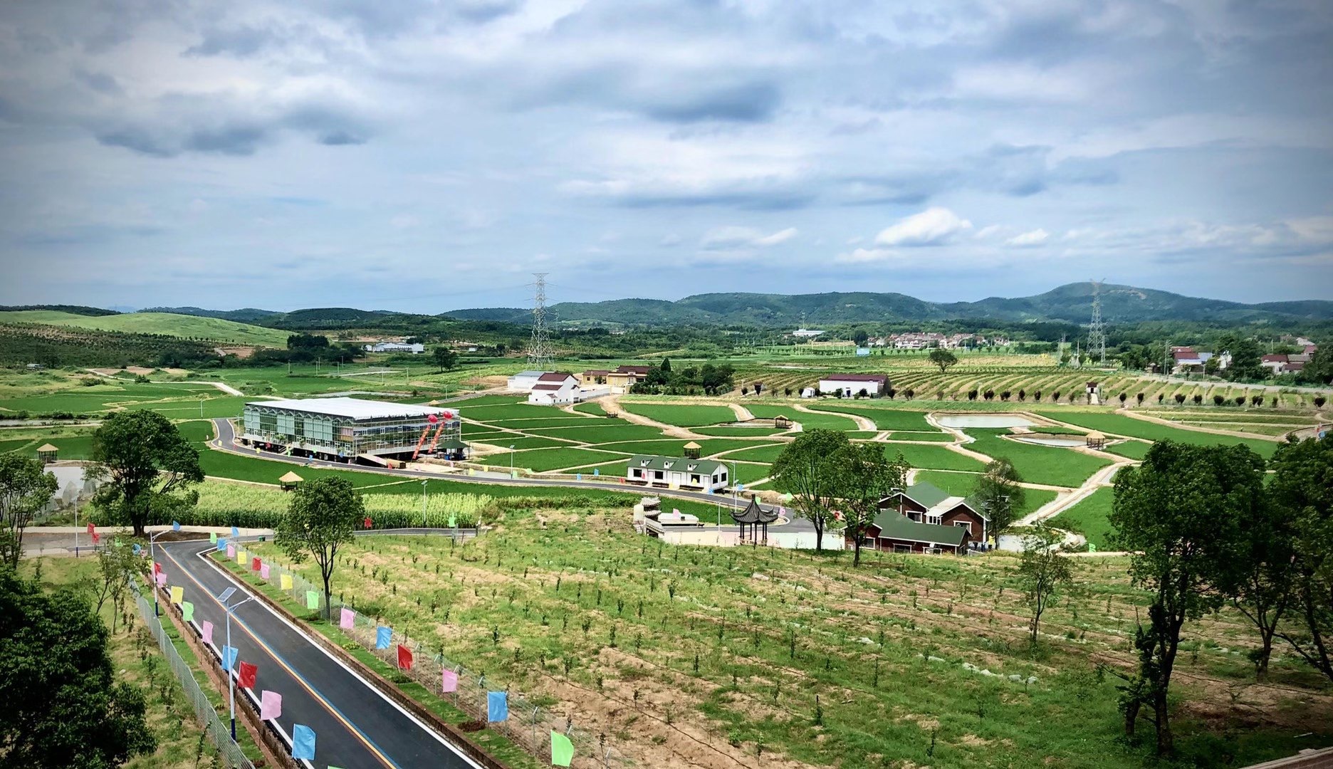 乡村部落富硒大米
