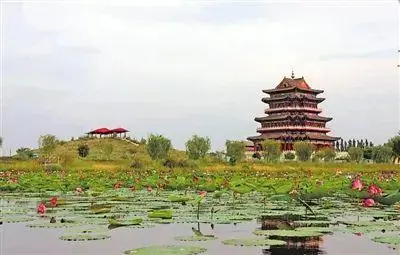平罗富硒大米旅游