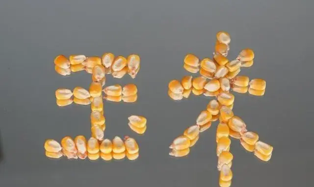 中国粮食富硒大米